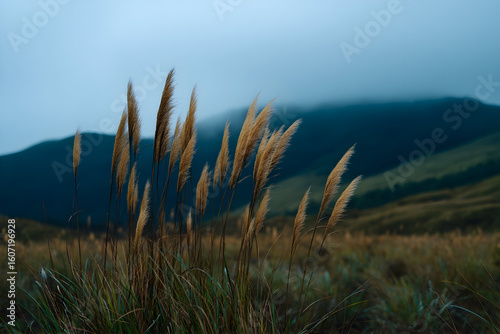 Golden grass sways gently in the cool breeze of an overcast day, creating a serene atmosphere in the valley landscape