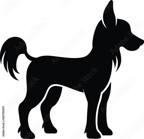 Chinese Crested silhouette with slender frame, plume tail, erect ears, and tufts of fur in elegant stance