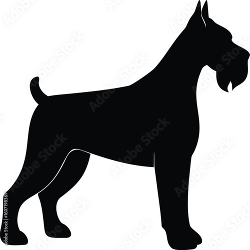 Giant Schnauzer silhouette with cropped ears, bushy beard, docked tail, and muscular build in alert stance