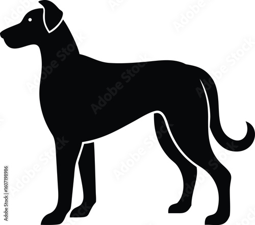 Irish Wolfhound silhouette with tall frame, rough coat, long legs, and curved tail in noble stance