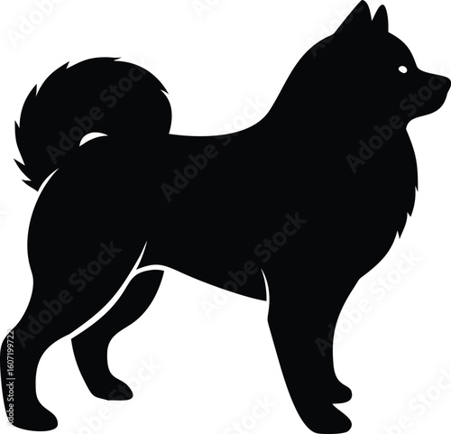 Keeshond silhouette with thick mane, curled tail, pointed ears, and compact frame in cheerful stance
