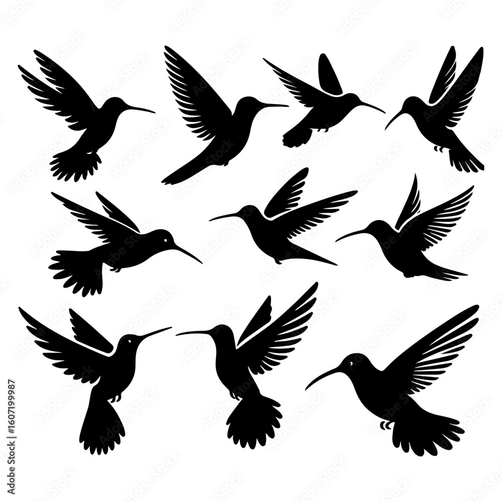 Obraz premium silhouettes of birds