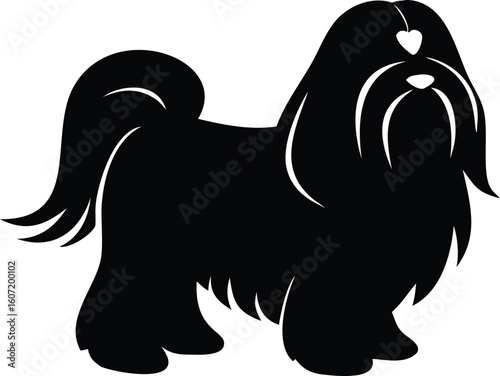 Lhasa Apso silhouette with long flowing coat, curled tail, and compact frame in regal stance