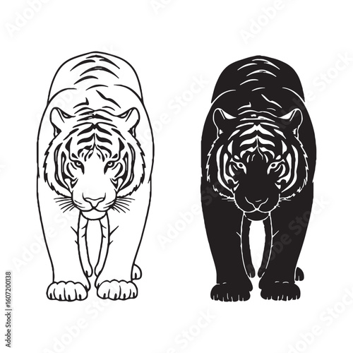 Innate Stealth Manifested - Tiger Vector Creation - Smoothly Rendered Silhouette and Lineart Set - Tiger silhouette - Tiger lineart - Tiger vector - vector set of Tiger


