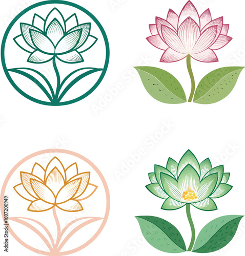 Colorful Lotus Flower, Isolated Vector