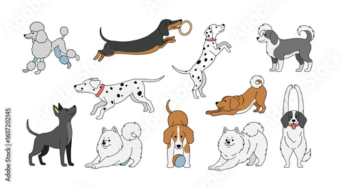 Collection of playful dogs poses and activities featuring various breeds