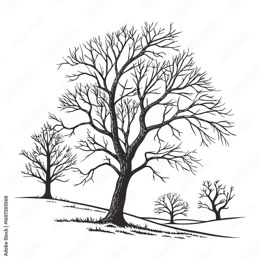 Fototapeta premium vector winter tree silhouette