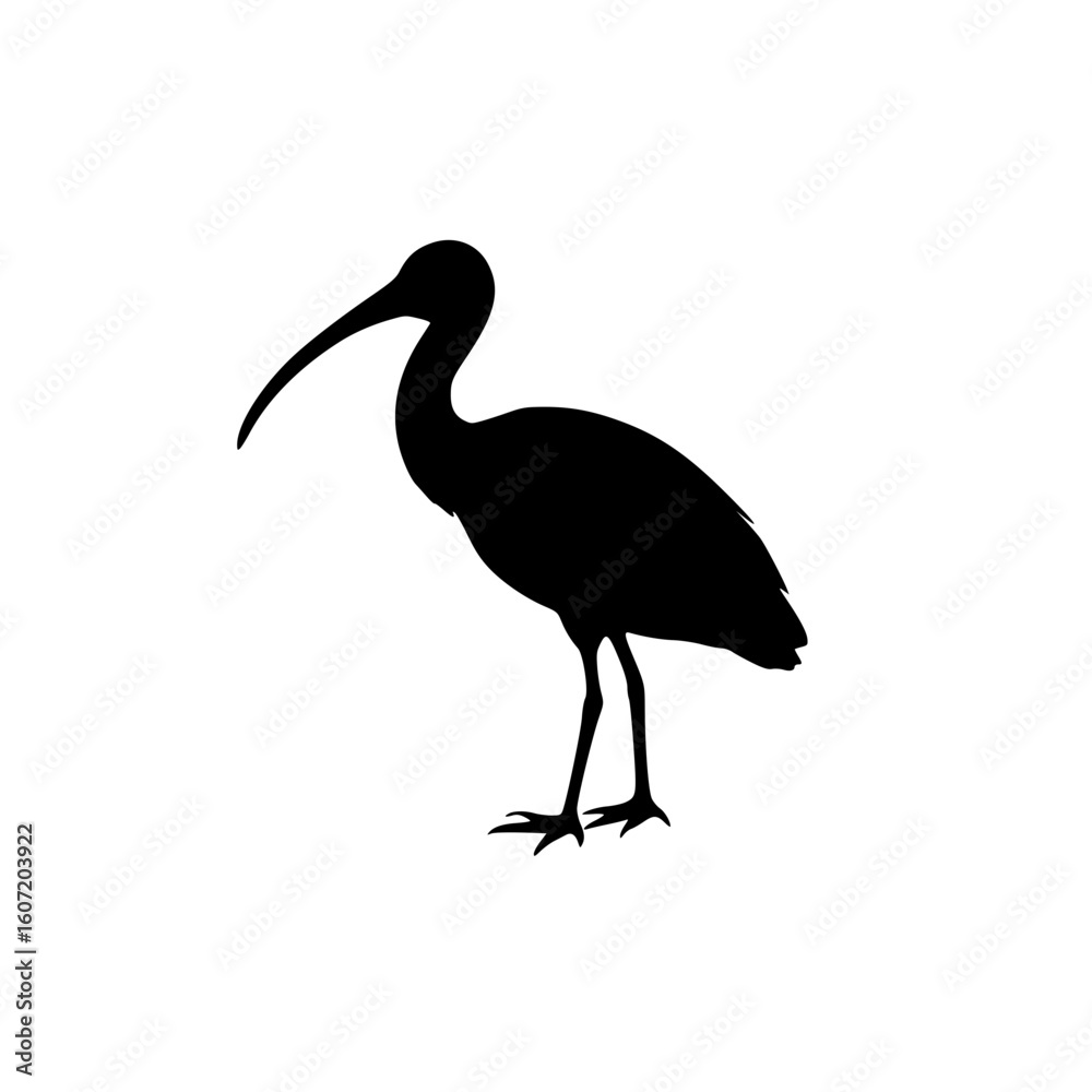 Fototapeta premium heron on a black background