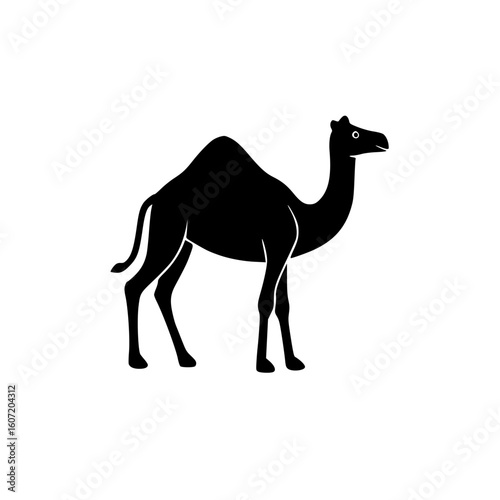 camel on a white background