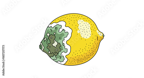 A moldy lemon rotting fruit unappetizing citrus with green fuzzy growth on one side and spoiled texture