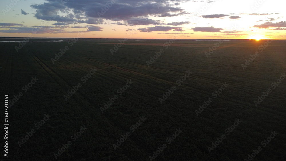 Fototapeta premium Sunset over a farm in Australia during working holiday visa