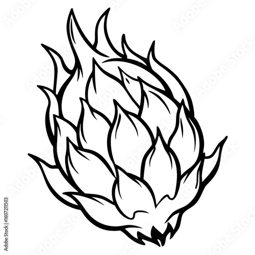 Detailed sketch of a dragon fruit with a spiky exterior