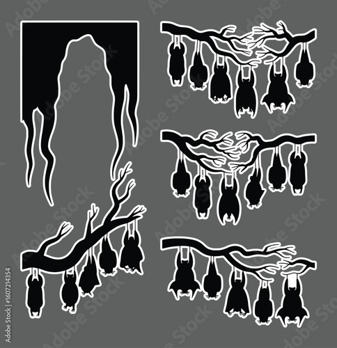 Black bats hanging upside down on tree branches vector