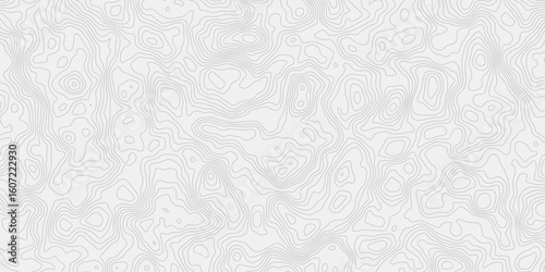 Abstract topographic wave map lines pattern  white background creating a minimal design element wallpaper design.

