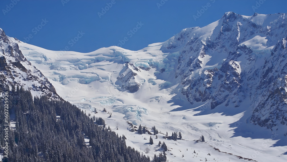 Naklejka premium Snow covered mountain forest with evergreen trees and misty clouds illuminated by golden sunrise light through valley
