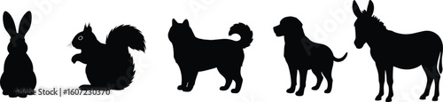 Animal silhouette lineup, rabbit, squirrel, cat, dog, donkey shapes, pet and wildlife posture, black vector profile, educational illustration