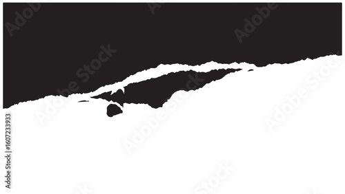 Torn paper edge with a rough texture, black and white design element