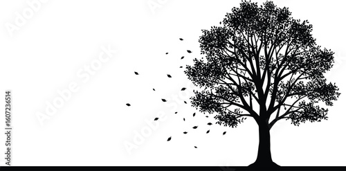 Tree silhouette with falling autumn leaves, minimalist nature concept, black and white vector illustration, seasonal design, tranquil landscape, leaf motion artwork