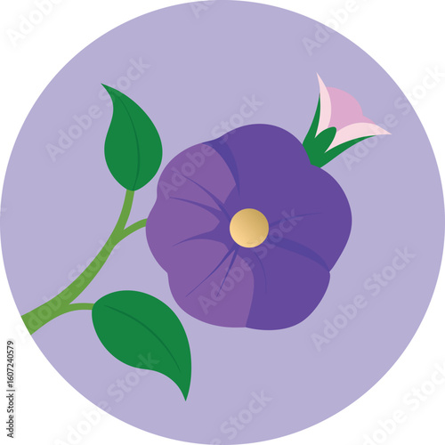 cartoon morning glory bloom in a circle