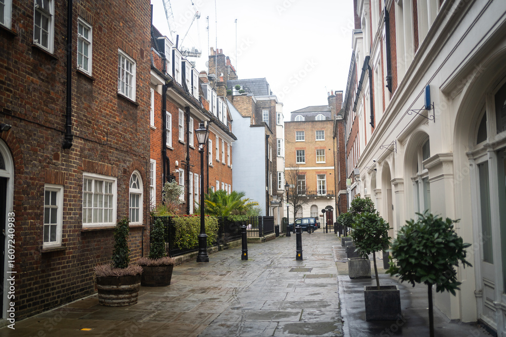 Obraz premium London mews.