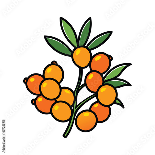 Vibrant Sea Buckthorn Branch Illustration