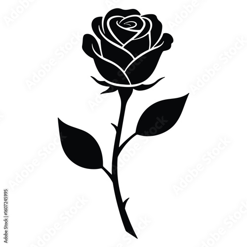 Elegant black rose silhouette depicting beauty romance love and floral design elements