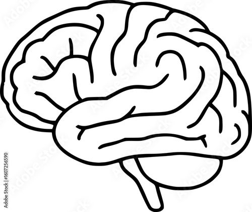 Brain Outline Icon Isolated on White. Neurology Concept