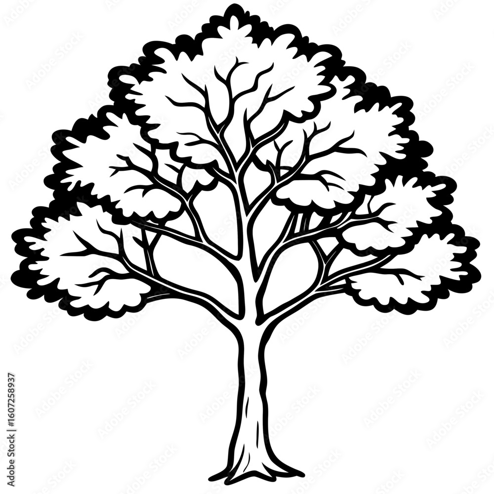 Fototapeta premium Black Gum line art vector