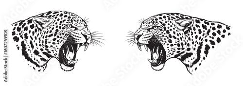 Two Roaring Leopards Face Off - Black and White Tattoo Art