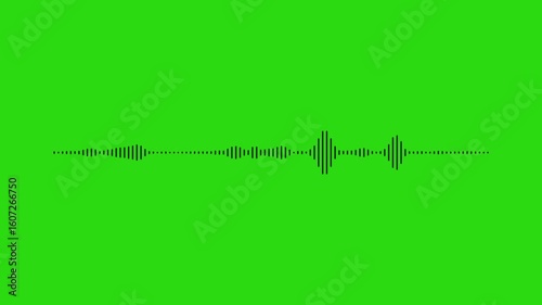 line audio wave visualization on a transparent background, audio waveform spectrum animation. Sound Wave Animated.  audio waveform spectrum animation
