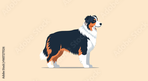 Elegant stylized illustration capturing the noble stance of an Australian Shepherd dog with its distinctive tri-color coat displayed on a plain