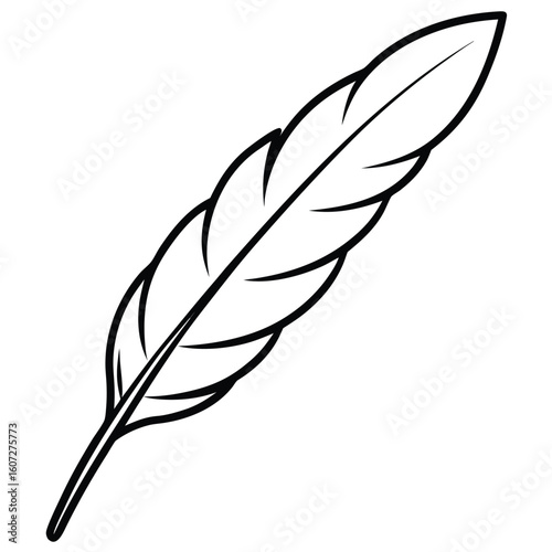 Intricate line art drawing featuring a detailed feather texture presented on a clean white background for versatile design applications