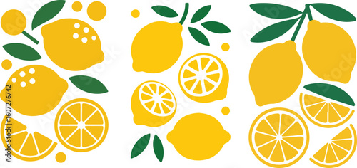 Closeup of Fresh Juicy Oranges – Citrus Fruit Texture and Slices.

