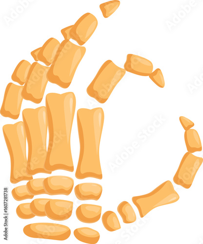 Skeleton hand forming circle with thumb and forefinger, creating ok symbol