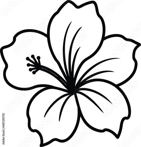 Simple black outline of a hibiscus flower isolated on white background