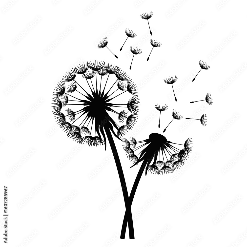Obraz premium Dandelions blowing in the wind with seeds scattering in the air 