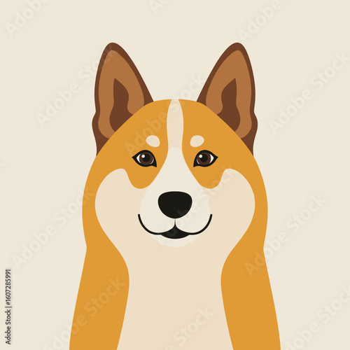 Corgi dog illustration with a friendly expression on neutral background  
