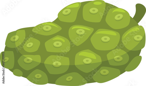 Close up of a noni fruit, highlighting its bumpy texture and unique green color