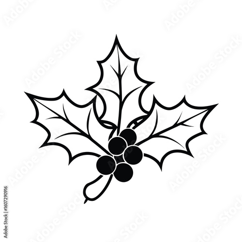 classic holly leaves with glossy red berries