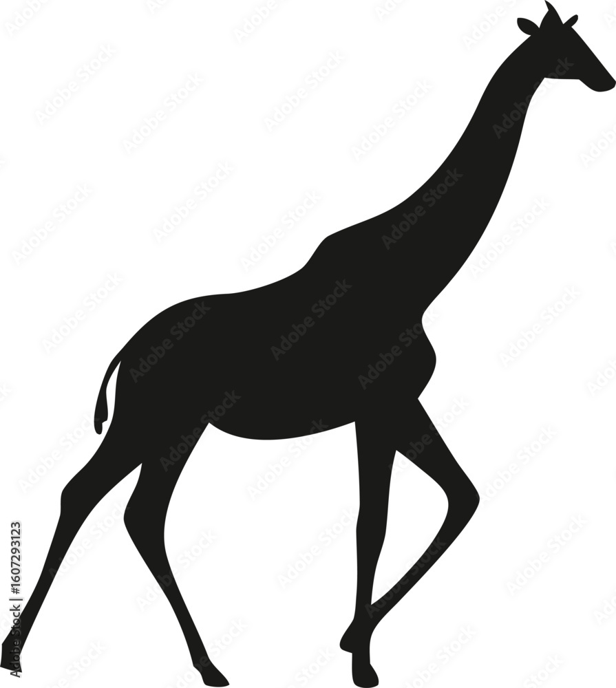 Obraz premium giraffel Silhouette 