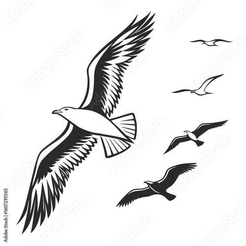 Monochrome vector set of simplified bird wing silhouettes in motion soaring flapping tucked using soft curves and minimalist structure clean and airy design