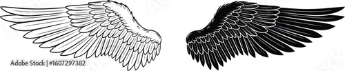 Black and white wings silhouette with layered feathers, symbolic contrast art, cad drawing flat vector illustration, angelic duality concept