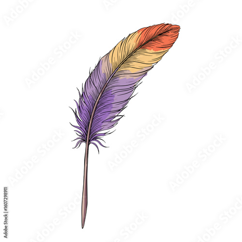 Vibrant colored feather in shades of orange, purple, and yellow  
