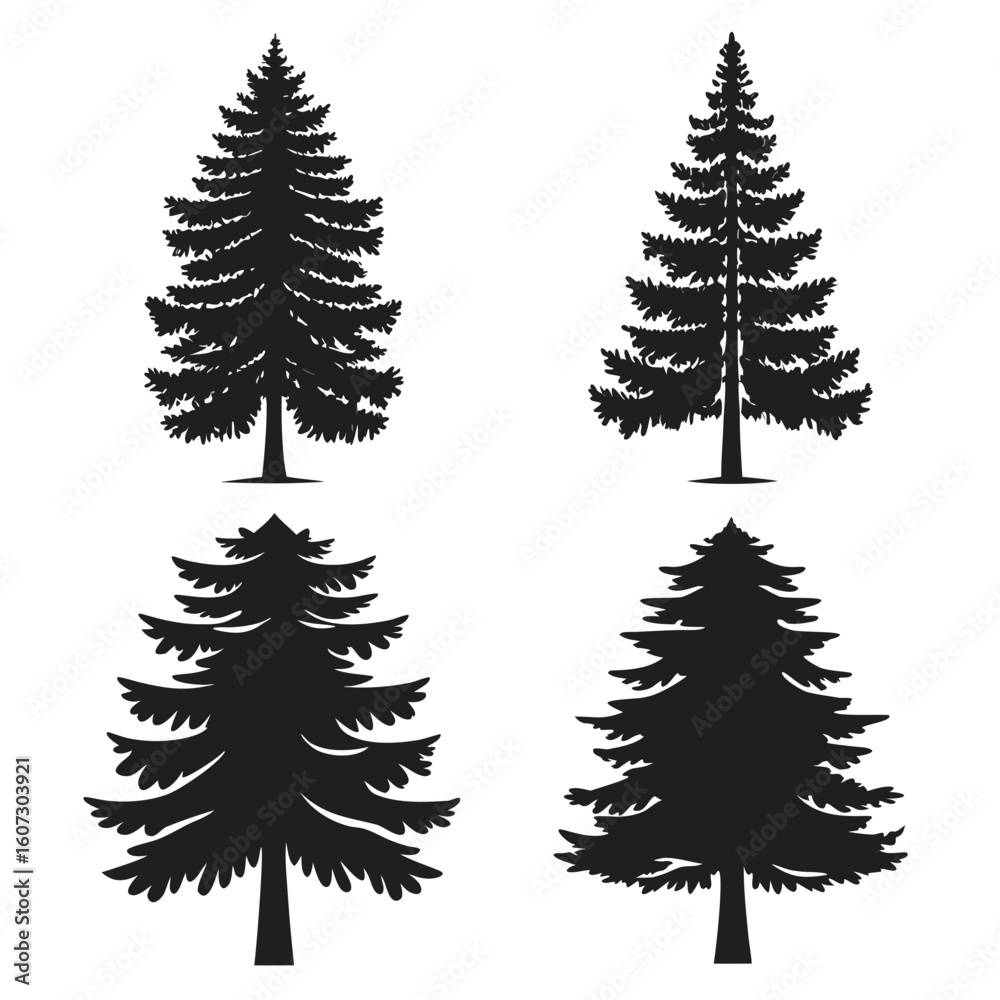 Obraz premium Coniferous Forest Trees pine tree fir tree