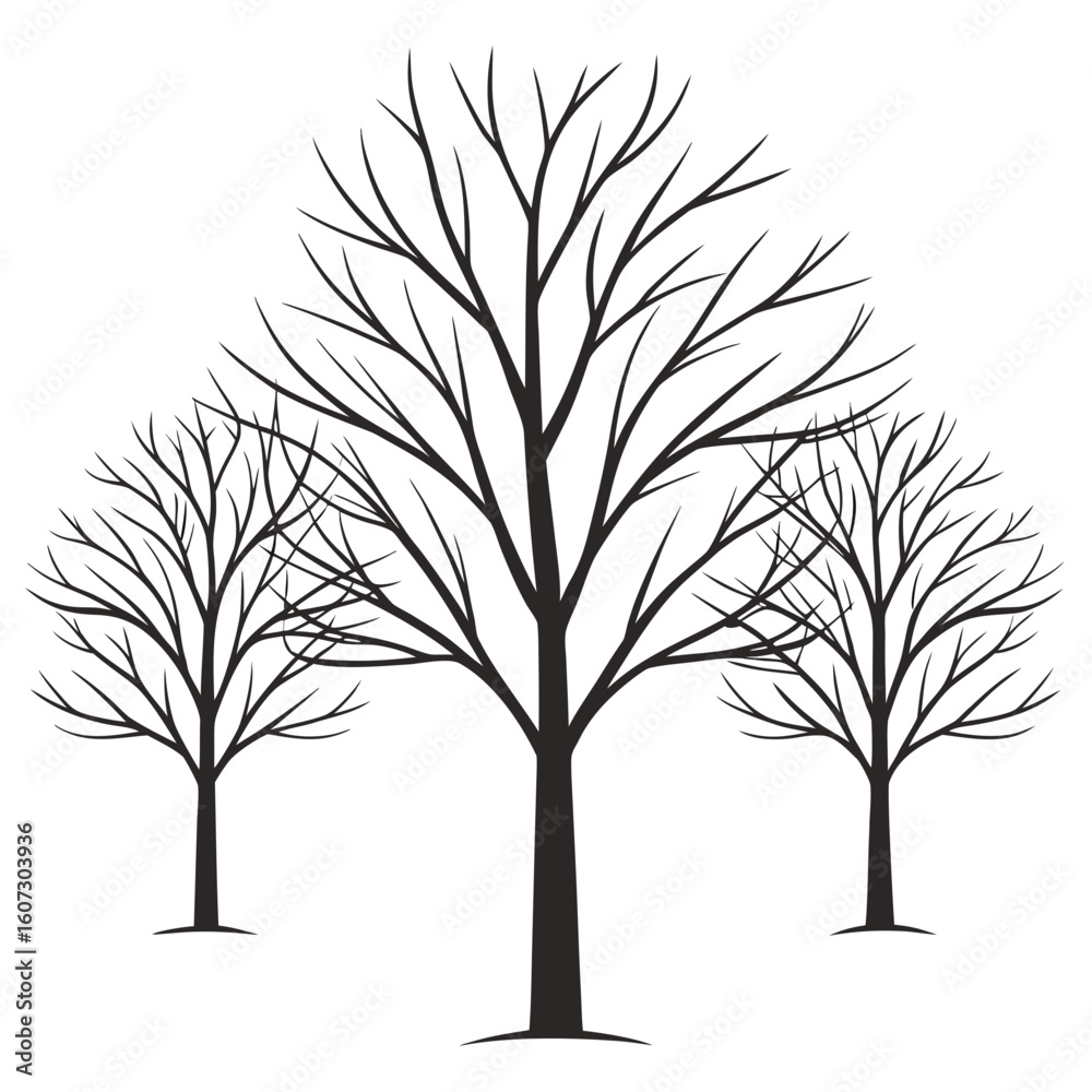 Obraz premium Bare Winter Trees branches silhouette