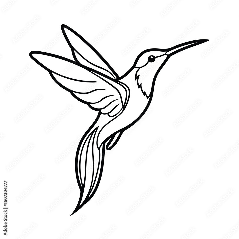 elegant hummingbird line art natures grace elegant hummingbird line art natures grace