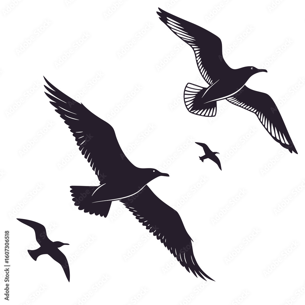 Obraz premium Elegant silhouette of birds in flight against a clean white background