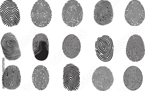 Diverse Fingerprint Vector Collection. Vector of various fingerprints, showcasing different patterns and qualities. Ideal for forensic science, security and biometric design