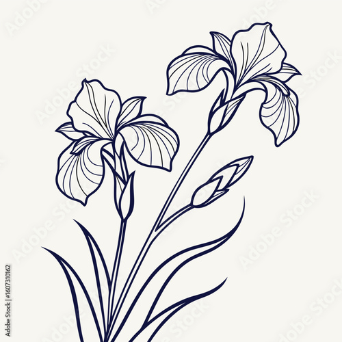 lily of the valley