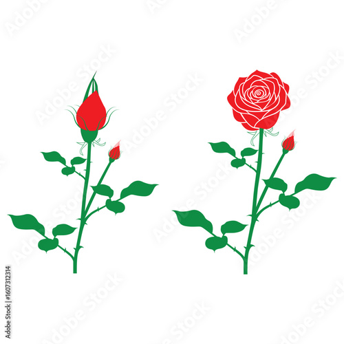   Red rose icon vector
